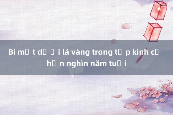 Bí mật dưới lá vàng trong tập kinh cổ hơn nghìn năm tuổi