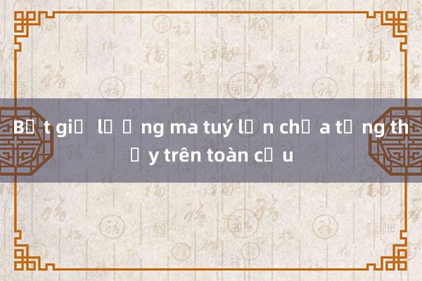 Bắt giữ lượng ma tuý lớn chưa từng thấy trên toàn cầu