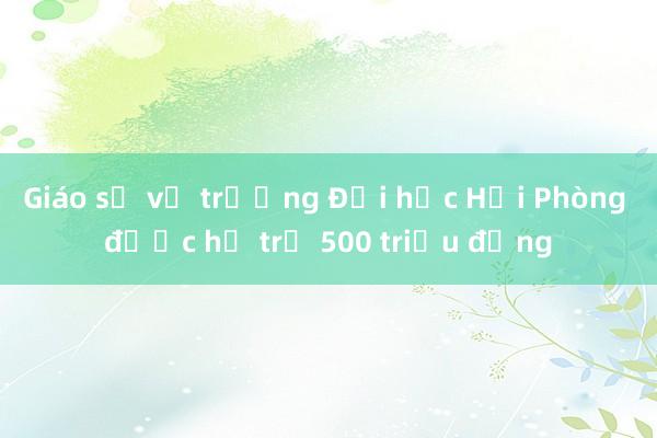 Giáo sư về trường Đại học Hải Phòng được hỗ trợ 500 triệu đồng