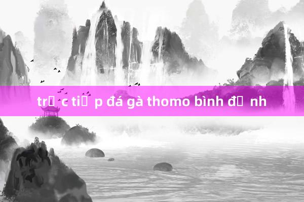 trực tiếp đá gà thomo bình định