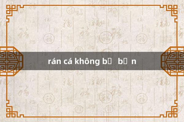 rán cá không bị bắn