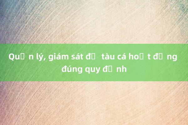 Quản lý, giám sát để tàu cá hoạt động đúng quy định