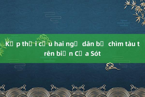 Kịp thời cứu hai ngư dân bị chìm tàu trên biển Cửa Sót