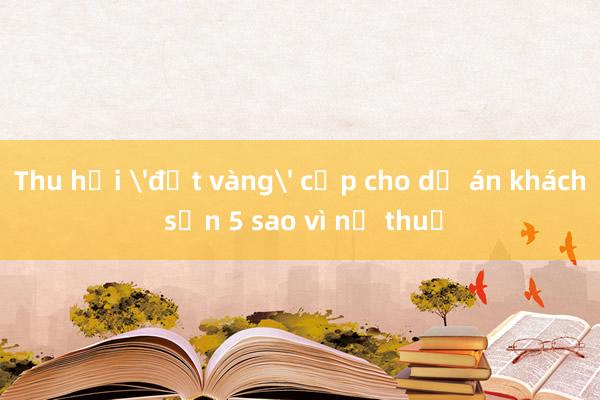 Thu hồi 'đất vàng' cấp cho dự án khách sạn 5 sao vì nợ thuế