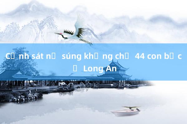 Cảnh sát nổ súng khống chế 44 con bạc ở Long An