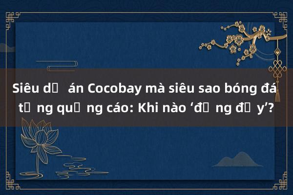 Siêu dự án Cocobay mà siêu sao bóng đá từng quảng cáo: Khi nào ‘động đậy’?