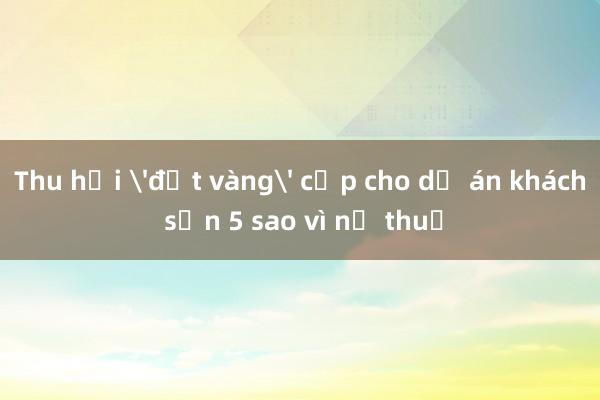 Thu hồi 'đất vàng' cấp cho dự án khách sạn 5 sao vì nợ thuế