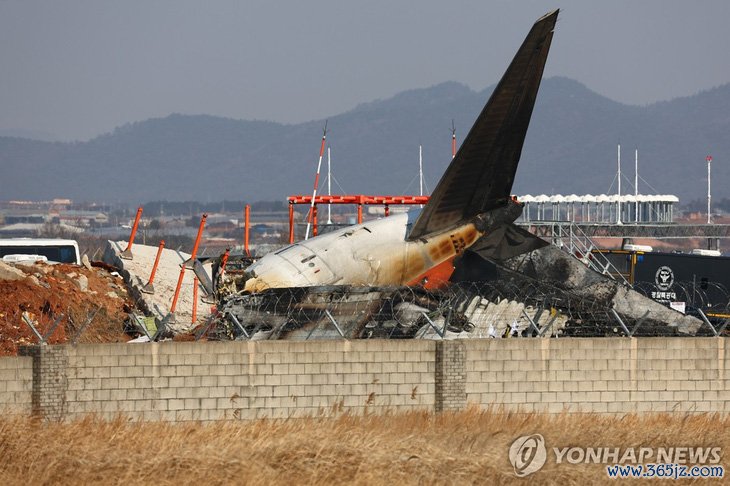 Vụ tai nạn máy bay Jeju Air: Có thể do va phải chim và thời tiết xấu - Ảnh 1.